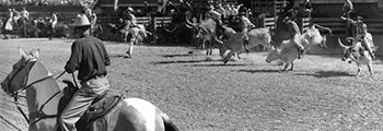 1950s